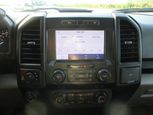 Ford F-150 2020 - Thumbnail 11